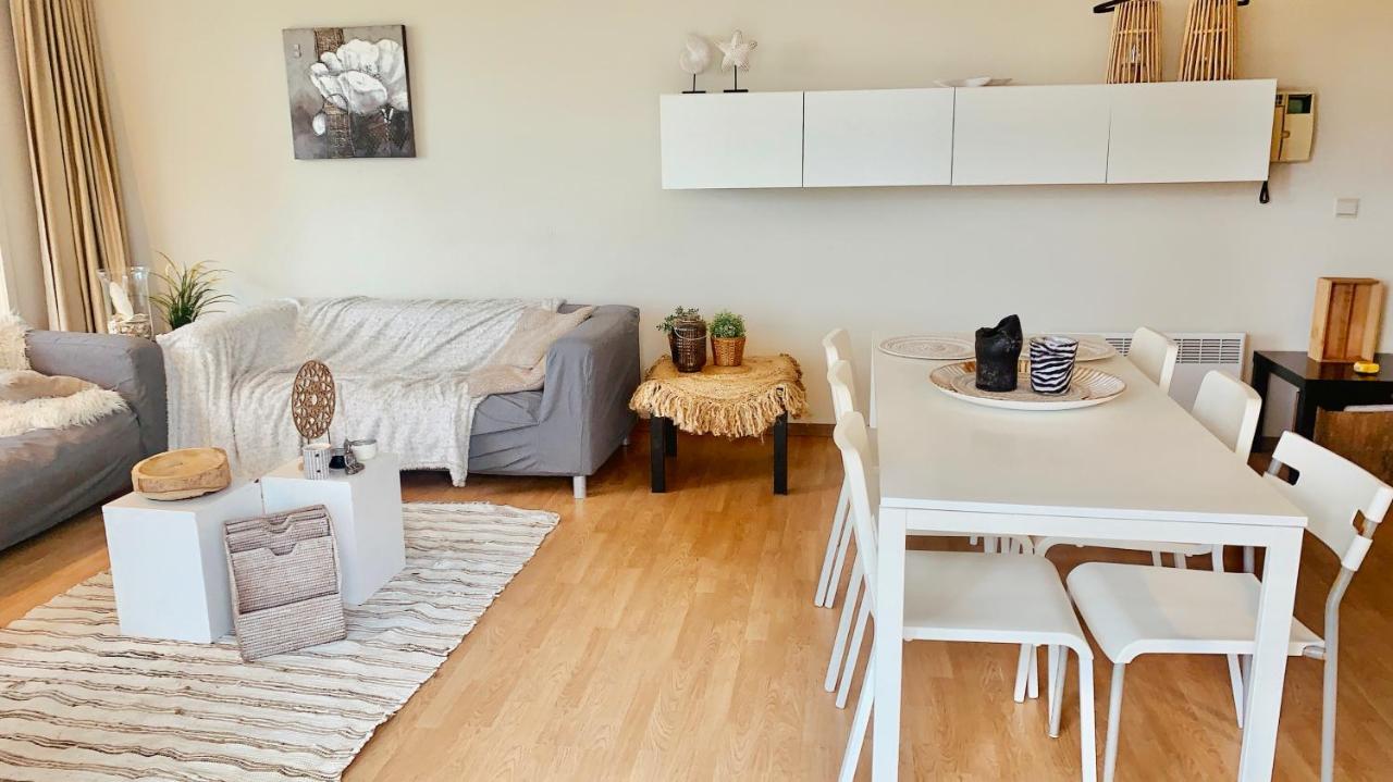 Ruim, Lichtrijk Appartement Met Groot Terras Uitstekend Gelegen In デ パンネ エクステリア 写真