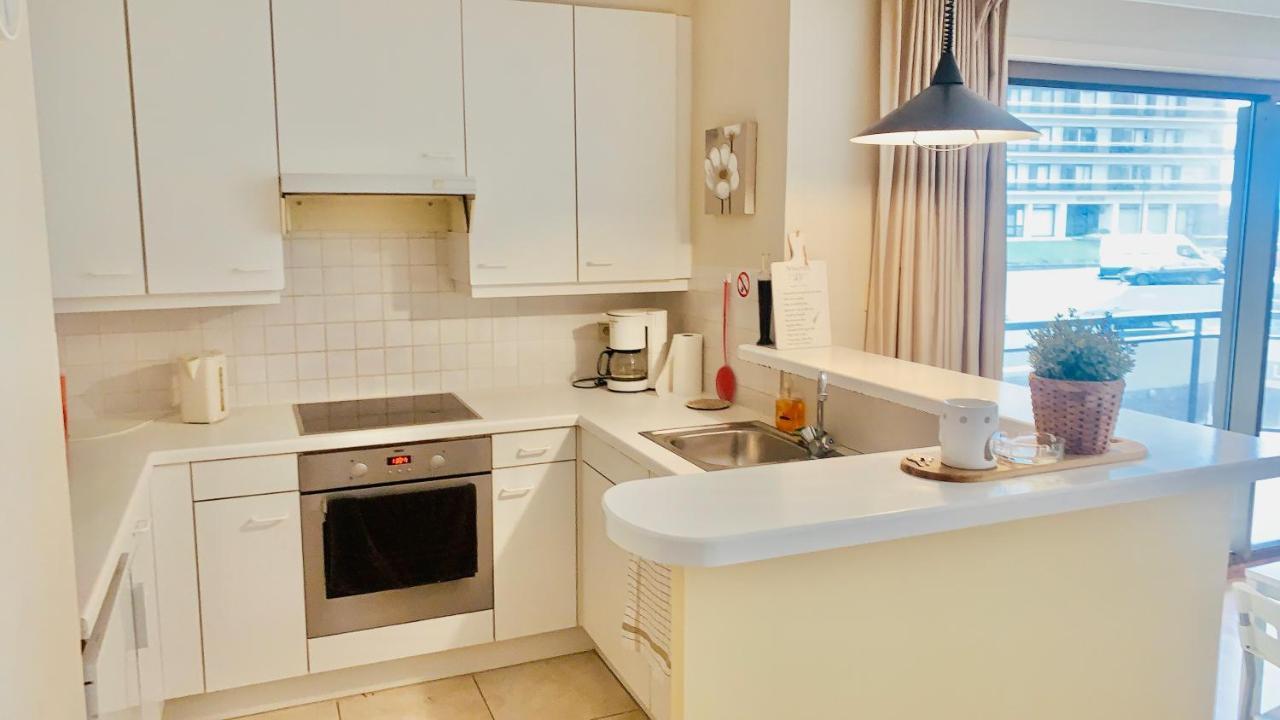 Ruim, Lichtrijk Appartement Met Groot Terras Uitstekend Gelegen In デ パンネ エクステリア 写真