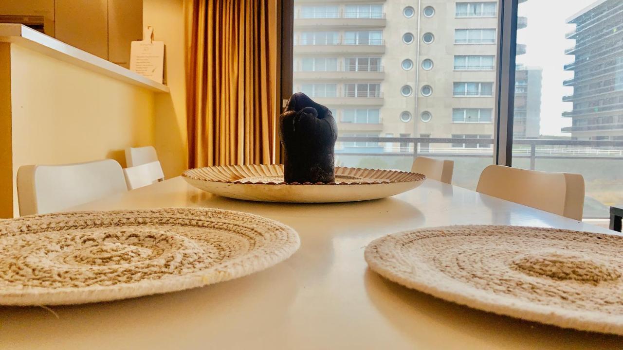Ruim, Lichtrijk Appartement Met Groot Terras Uitstekend Gelegen In デ パンネ エクステリア 写真