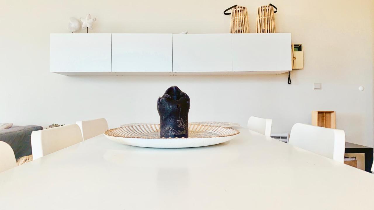 Ruim, Lichtrijk Appartement Met Groot Terras Uitstekend Gelegen In デ パンネ エクステリア 写真